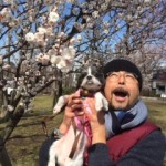 2015梅
