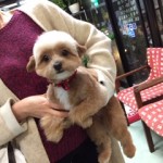 20181127今村もこ誕生日pre