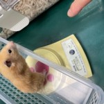 202108ねむちゃん②